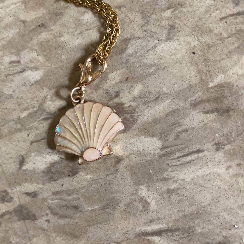 Shell Necklace - Picture 2 of 3